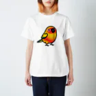 Cody the LovebirdのChubby Bird コガネメキシコインコ Regular Fit T-Shirt