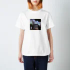 ナンのサーモンとわたし Regular Fit T-Shirt