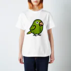 Cody the LovebirdのChubby Bird メジロメキシコインコ スタンダードTシャツ