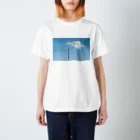 yuta0466のファインダー越しの世界 スタンダードTシャツ