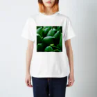 03damono🇯🇵の多肉植物 スタンダードTシャツ