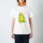 もふもふインコのけいちゃんのくりくりおめめのもふけいちゃん スタンダードTシャツ