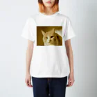 ムエックネの猫 スタンダードTシャツ