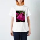 hiroki-naraの今は失われたモノ　DATA_P_148　ツツジが咲く スタンダードTシャツ