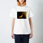 Kazeのあっち Regular Fit T-Shirt