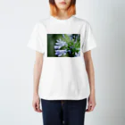 PhotoAtelier AileのAngel of Agapanthus 170702 Regular Fit T-Shirt