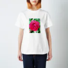 そとのショップの雨の日の薔薇 スタンダードTシャツ