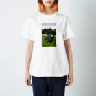 Keichanzのこんちゅーず（くわがた） Regular Fit T-Shirt