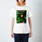 mimamee'sboxのレディ写NO.６ Regular Fit T-Shirt