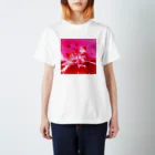 奥ノ　犀のcake２ Regular Fit T-Shirt