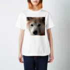 とりいの犬がみている スタンダードTシャツ