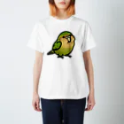 Cody the LovebirdのChubby Bird カカポ スタンダードTシャツ