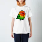 Cody the Lovebirdの両面　Chubby Bird ルリゴシ ボタンインコ スタンダードTシャツ