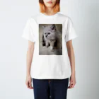 Elfi, Cherie, Felicia, Asher, Bae&Ameliaのサイベリアンの子猫(ブルーポイント) Regular Fit T-Shirt