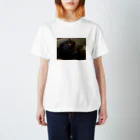 ゆいたすのゆいたすめるとだうん Regular Fit T-Shirt