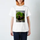 絵描きの和紗の苔むした岩 Regular Fit T-Shirt