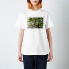 mono1の木漏れ日 Regular Fit T-Shirt