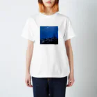 A_Uの別世界１ 西表島 スタンダードTシャツ