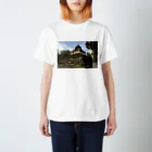 Scene_Sniperのラオス　すいか寺カラー Regular Fit T-Shirt