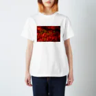 otakeの写真店の真っ赤な彼岸花 スタンダードTシャツ