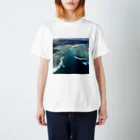 ninaoikawaのモーリシャスの海中の滝 スタンダードTシャツ