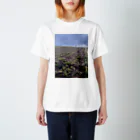 gontyanのパイナップル畑 Regular Fit T-Shirt