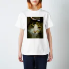 powpowの寝ぼけ猫 Regular Fit T-Shirt