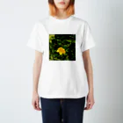 Haru “Casade Verde”のヒペリカムヒドコート Regular Fit T-Shirt