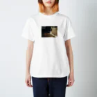 サカナのmofu-annyo Regular Fit T-Shirt