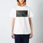 tvchuの寒い夜のアゲハ蝶 Regular Fit T-Shirt