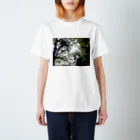 HOME-HASUの光 Regular Fit T-Shirt