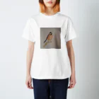 ガルアートのヤマガラ Regular Fit T-Shirt
