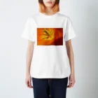 椎茸のオレンジ Regular Fit T-Shirt