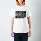 カメラマンと猫のお店の居眠りみっけちゃん Regular Fit T-Shirt