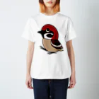 FINCH LIQUEUR RECORDSのちょこんつぁ Regular Fit T-Shirt