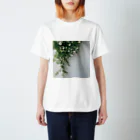 ampluieの木香薔薇 スタンダードTシャツ