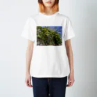 tkcoooのFleurs de Marseille Regular Fit T-Shirt