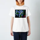 花水の花の蝶 スタンダードTシャツ