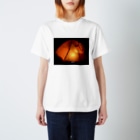 yosiのyosi's テント Regular Fit T-Shirt