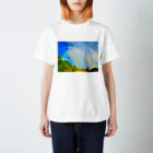 mizuphoto galleryのダブル・レインボー スタンダードTシャツ