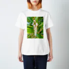 mizuphoto galleryの月桃 スタンダードTシャツ