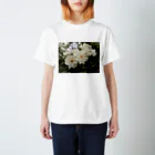 夢工房のWhite Rose Regular Fit T-Shirt