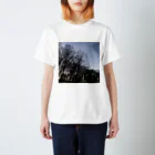 あるふぁよこ→の木立 Regular Fit T-Shirt