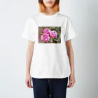 kopanの虹の世界のpink Rose Regular Fit T-Shirt