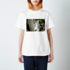 kawaii-keiのそっと様子をうかがう猫ちゃん Regular Fit T-Shirt