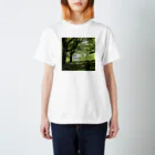 akane_art（茜音工房）の癒しの風景（樹木） Regular Fit T-Shirt