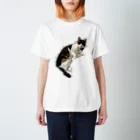 とある三匹の猫のねむる猫 Regular Fit T-Shirt