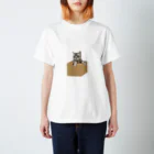 末っ子じゃない甘えん坊猫の段ボールon猫 スタンダードTシャツ