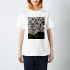 ymの桜 Regular Fit T-Shirt