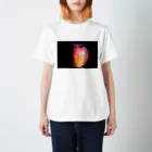 myopia hyperopiaのりんご Regular Fit T-Shirt